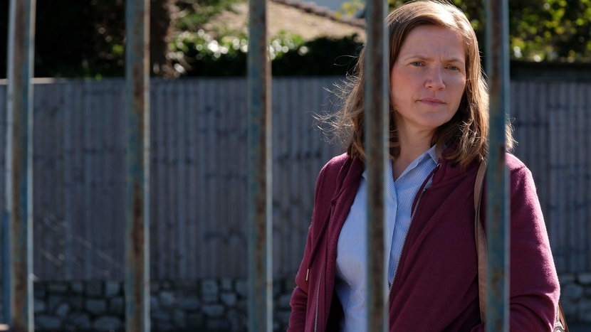 The Fight DVD review: Dir. Jessica Hynes (2019)