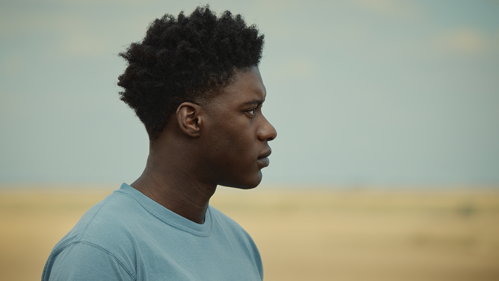 The Last Tree DVD review: Dir. Shola Amoo