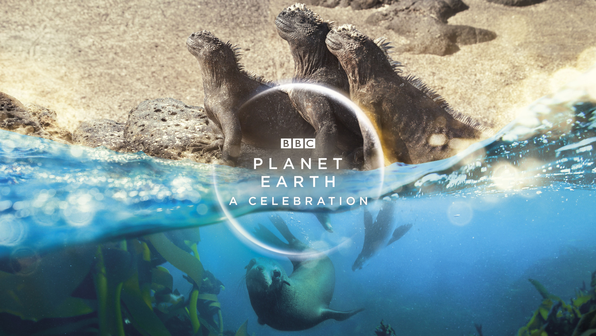 Planet Earth: A Celebration review [BBC One]