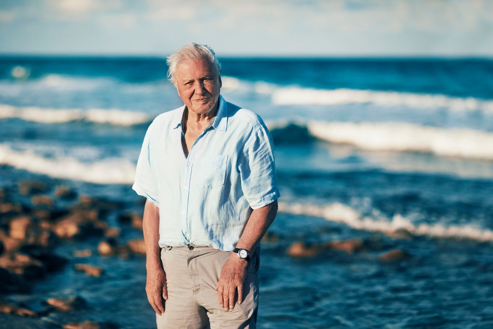 Sir David Attenborough and National Geographic team up for feature documentary on the world’s&nbsp;Oceans