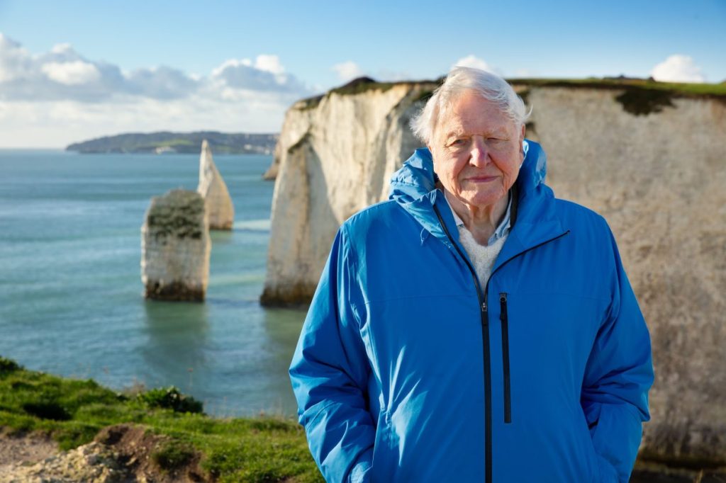 Ocean with David Attenborough review: Dirs. Colin Butfield, Toby Nowlan, Keith&nbsp;Scholey